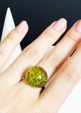 Мох колечко с мхом стильное кольцо с лесным мхом вечнозелёное (модель № 1479) glassy flowers7 фото