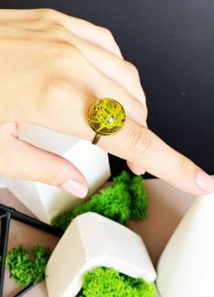 Мох колечко с мхом стильное кольцо с лесным мхом вечнозелёное (модель № 1479) glassy flowers9 фото