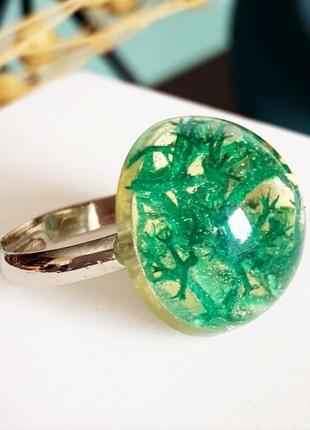 Мох колечко с мхом стильное кольцо с лесным мхом вечнозелёное (модель № 1515) glassy flowers6 фото