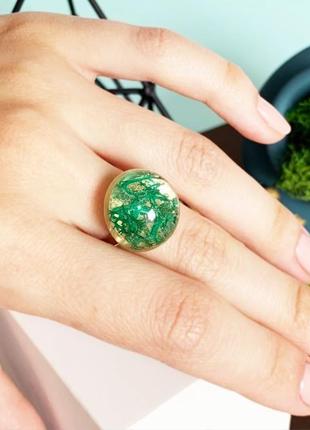 Мох колечко с мхом стильное кольцо с лесным мхом вечнозелёное (модель № 1515) glassy flowers4 фото