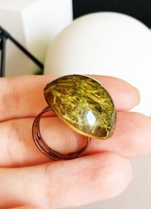 Мох колечко с мхом стильное кольцо с лесным мхом вечнозелёное (модель № 1689) glassy flowers7 фото