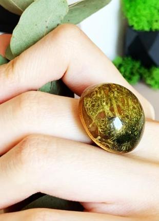Мох колечко с мхом стильное кольцо с лесным мхом вечнозелёное (модель № 1689) glassy flowers5 фото