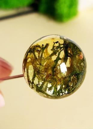 Мох брошь-игла с зелёным мхом булавка шпилька лесным мхом (модель № 2335) glassy flowers6 фото