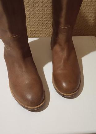 Тренд сезона  кожаные ридинги-жокейские сапоги  c&a германия9 фото