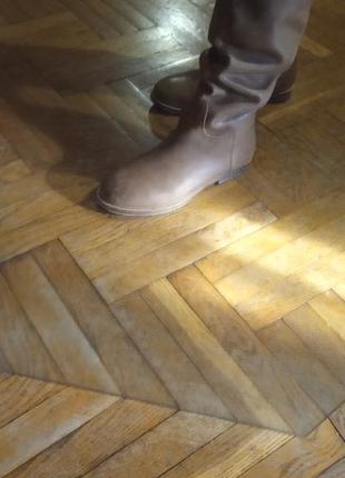 Тренд сезона  кожаные ридинги-жокейские сапоги  c&a германия5 фото