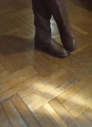 Тренд сезона  кожаные ридинги-жокейские сапоги  c&a германия1 фото