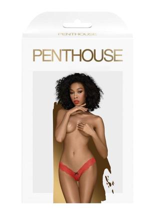 Трусики penthouse dangerous darling red (s/m)