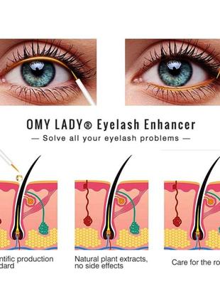 Cыворотка для роста ресниц и бровей omy lady eyelash enhancer, 5мл2 фото
