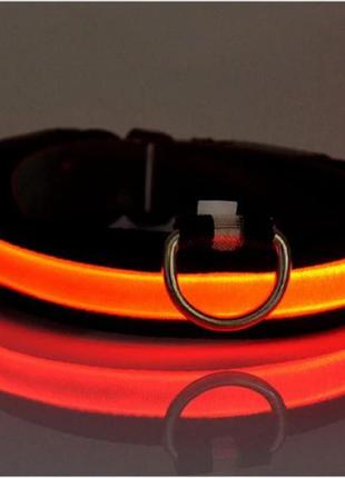 Нашийник для собак світлодіодний led помаранчевий розмір m1 фото