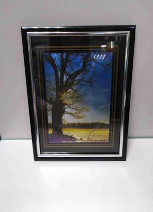 Картины, постеры, гобелены, панно б/у картина "дерево" фотопринт 20х15 см