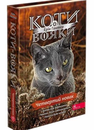 Коти-вояки. знамення зореклану. книга 1. четвертий новак