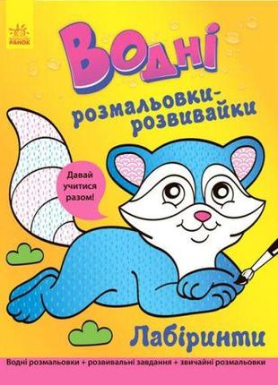 Водна розфарбування-развівайка "лабіринти" (укр) [tsi41299-тsі]