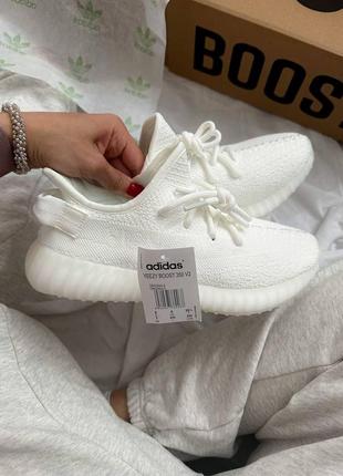 Adidas yeezy boost 350 white  iz102