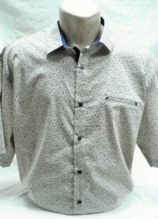 Шведка чоловіча noseda бежева з синіми листочками ,5xl,