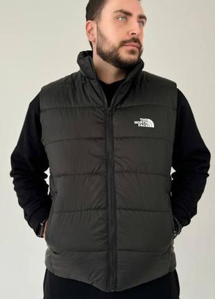 Чоловіча жилетка the north face