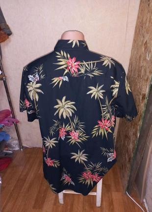 Новая хлопковая рубашка гавайка 50 размер f&amp;f3 фото