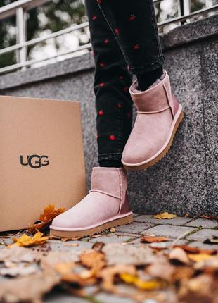 Уги ugg w classic mini «pink» угги3 фото