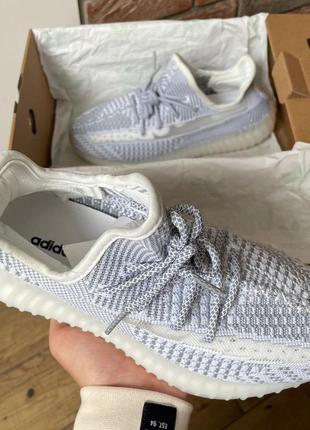 Кроссовки adidas yeezy boost 350 v2 (реф шнурки)7 фото