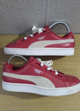 Шкіряні кросівки puma 36p
