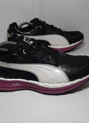 Puma bodytrain cheap