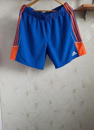 Спортивные шорты adidas