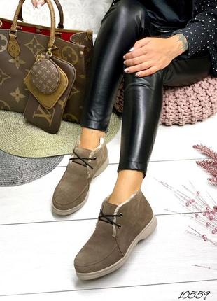 Лоферы зима капучино замш на шнурках