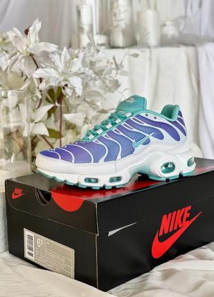 Кроссовки найк nike nike air max tn