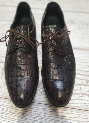 Мужские туфли из кожи крокодила2 фото