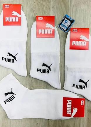 Белые носки puma