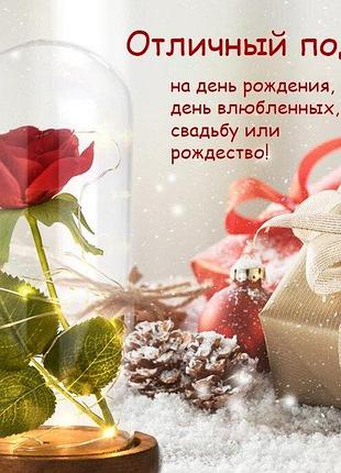 Роза в стеклянной колбе с подсветкой из м/ф «красавица и чудовище».2 фото