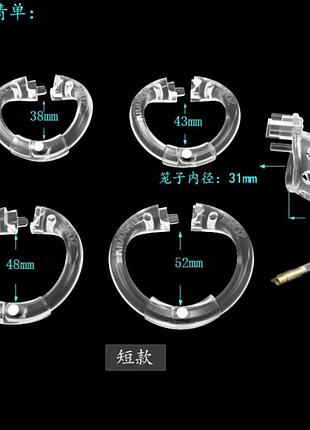 Latest small model chastity device clear  китти 3