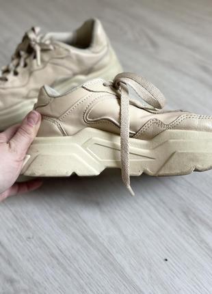 Кроссовки кроссовки нюд бежевые бежевые тяговые h&amp;m3 фото