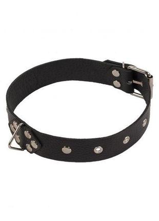 Нашийник leather restraints collar, black кітті