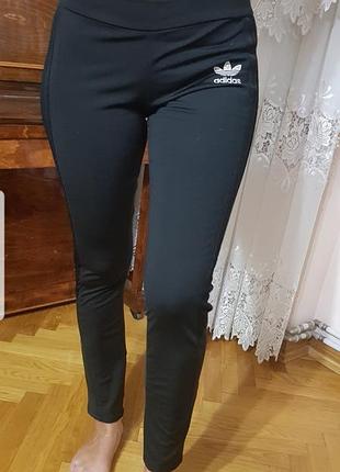 Спортивні штани жіночі adidas