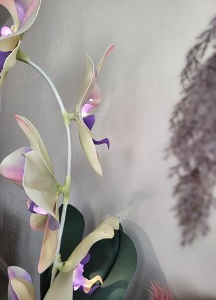Орхідея великі квіти ростова квітка фотозона декор світильник5 фото