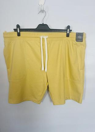 Трикотажные шорты большого размера