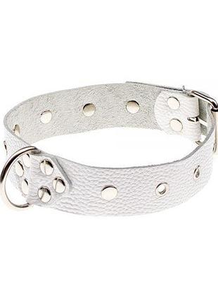 Ошейник dominant collar, white 2