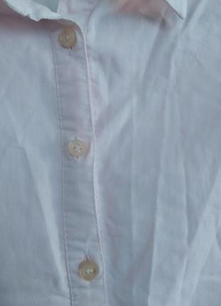 Свет розовая рубашка4 фото