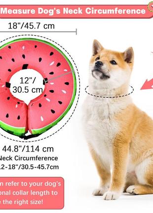 Ошейник для собак, fwlwtwss надувной ошейник для собак и кошек, мягкий удобный3 фото