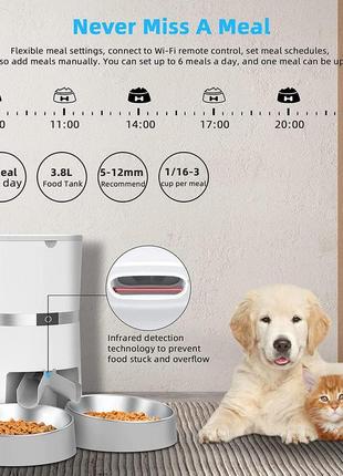 Welltobe smart автоматична годівниця для кішок і собак автоматична годівниця wi-fi для 2 кішок4 фото