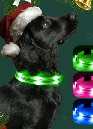 Светодиодный ошейник для собак yfbrite, перезаряжаемый usb-ошейник с подсветкой (размер s)1 фото