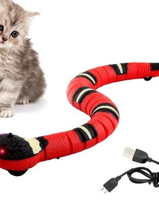 Игрушка-змея-кошка, xixiran игрушка-змея, электрическая, игрушка-змея для кошек usb, игрушка-змея1 фото