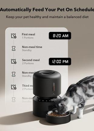 Автоматическая кормушка для кошек petlibro2 фото