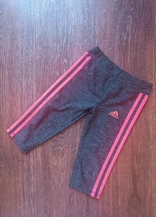 Бріджи легінси adidas