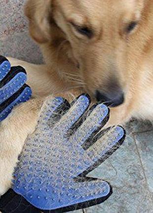 Перчатка для вычесывания шерсти у животных true touch5 фото