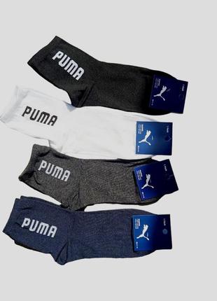 Набір шкарпеток  12 пар puma 4 кольори  41-45 розмір2 фото