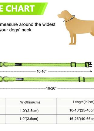 Світловідбивний нашийник umi, регульований базовий нашийник для собак з1 фото