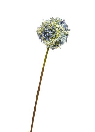 Цветок  "гортензия шаровидная" синяя