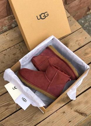 Сапоги ugg mini wine red женские бордовые7 фото