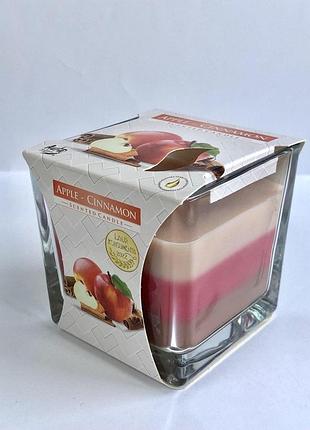 Свеча ароматизированная яблоко- корица bispol 170g